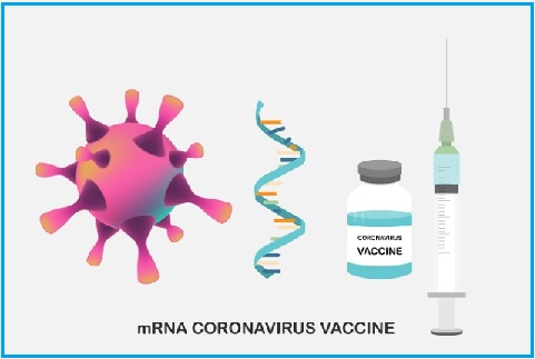 Corona Crown rRNA